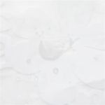 product_image_name-Generic-Semi transparent Bath shower Curtains waterproof bathroom flowers design-4