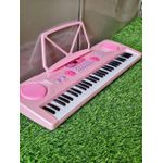 Rechargeable Professional Piano