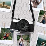 product_image_name-Generic-Chicken Wire Mesh -6