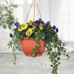 product_image_name-Generic-Terracotta Style Plastic Hanging Planter with Metal Chain-2