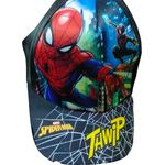 Multicolour Spiderman Hat/Cap For Kids