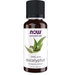Eucalyptus Oil 100% Pure Oil 30ml