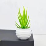 product_image_name-Generic- Succulent Plant Bonsai Mini Artificial Plastic Succulent Accessories Green Plant DIY Home Decoration Ornament-4