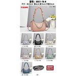 fashionable ladies handbag