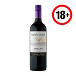 Frontera Merlot Wine 750ml
