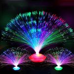 product_image_name-Generic-fibre optic lamp with button for different colors Battery operated -1