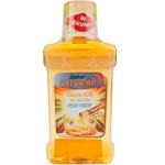 product_image_name-Dabur Herb'l-Miswak GERMKILL + FRESH MINT Herbal Mouthwashes cf-2