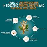 product_image_name-Himalaya-Ashwagandha - Helps Reduce Stress and Rejuvenate the Mind and Body-2