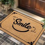Novelty entry door mat 