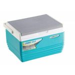 Pinacle  cooler box 11ltrs