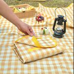 product_image_name-Generic-Foldable Picnic mat-1