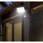 product_image_name-Generic-Motion Sensor  30W Floodlight-1