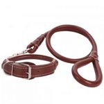 product_image_name-Generic-Leather Easy Grip 2-in-1 Rolled  Pet/Dog Collar & Leash-1