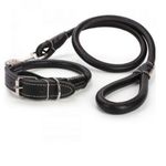 product_image_name-Generic-Leather Easy Grip 2-in-1 Rolled  Pet/Dog Collar & Leash-2