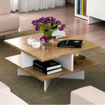 Hamilton  Modern  Design   Coffee Table With Storage