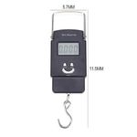 product_image_name-Generic-50kg Portable Battery-Powered Digital Scale-2