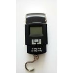 Portable electronic scale 