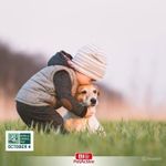 product_image_name-Generic-BIO PET Knot Away Detangler & Conditioner – 250ml  Tangle-Free Coat & Soft Finish-4