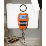 product_image_name-Generic-200kg Crane Scale. Digital Hanging Weighing Scale Portable Electronic Weight Machine-2