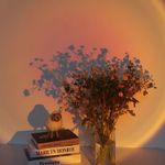 product_image_name-Generic-USB Powered Rainbow Sunset Projector Lamp for Bedroom Night Light Decor-1