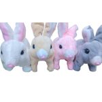 product_image_name-Generic-Premium Plush Bunny Rabbit Toy-1
