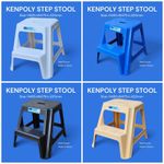 Kenpoly Plastic step stool 