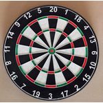Dart board professional dart boards