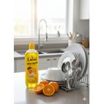 product_image_name-Luna-FRUITY ORANGE DISH WASH 500ML-1