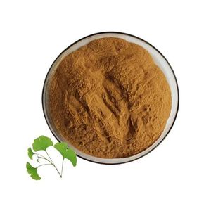 Organic Ginkgo Biloba Dry Extract Powder (25:1 Ratio, 6% Terpenes, 25% Flavone Glycosides) 100g