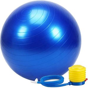 High Quality Strong Antiburst Gym Exercise Yoga Ball with Manual Pump
