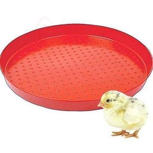 Bestray Classic Small Chicks Feeder Tray