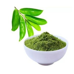 Organic Soursop powder