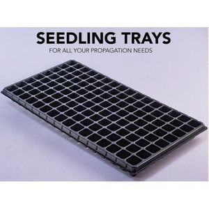 seedling tray