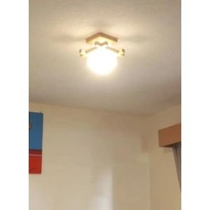 poky ceiling light