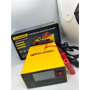 Portable Bolaimei BLM_866 Universal Automatic Smart Lead Acid Standard Battery 12V 24V Car Battery Charger