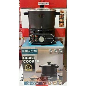 Globalstar  Ugali Cooker-Easy to use