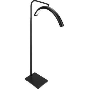 	 Stand alone beauty half moon arc light