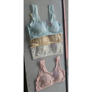 New Sweet Underwear Girls Developmental Bra Small Chest Teen Bralette  Seamless Daily Bras