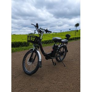 Compact Electric Bike Size 20" with 350W Motor