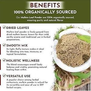 Mullein Powder from Mullein leaf extract 