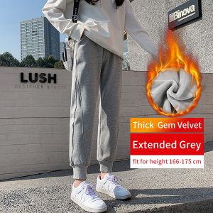 PELEDRESS Women Winter Warm Pants Fleece Velvet Thick Trousers Harajuku  Korean High Waist Elastic Straight Harem Pants 2021 New