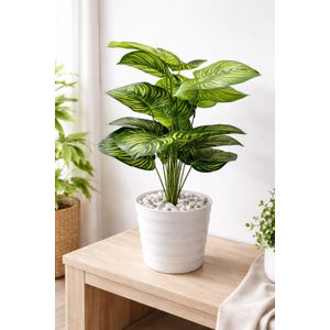 Artificial Stripped Flower , Decor Stones, Plus A Vase