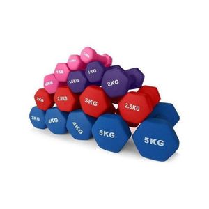 Multi Color Aerobic Dumbbell 5kg  pair