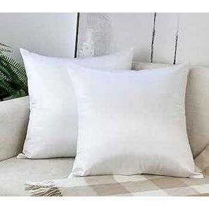 SET of 2 Decorative fully filled fiber pillows.