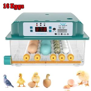 Smart Constant Temperature Incubator, 16 Eggs - UK - Green