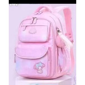 Bizschool Pink backpack