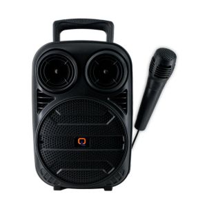 Portable Outdoor Wireless Speaker – 6.5" Driver, Karaoke Mic, RGB Lights, Long Battery Life.