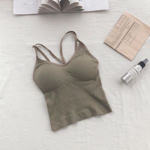 Cotton Padded Tube Bras in Nairobi Central - Clothing, Absolute Shapewear