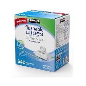 KIRKLAND Signature Flushable Wipes 640pc 10-64 ct Packs
