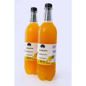 amma organic PROBIOTIC KOMBUCHA PINEAPPLE FLAVOR 2 Pack